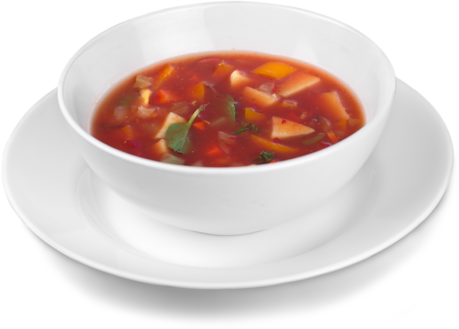 Bowl of chunky soup